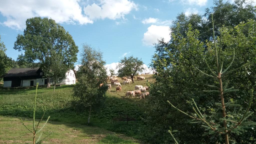 Penzion Liberta Horní Maršov Kültér fotó